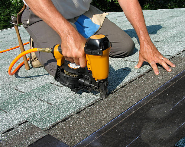 Best Local Roofing Companies  in Vero Lake Estates, FL